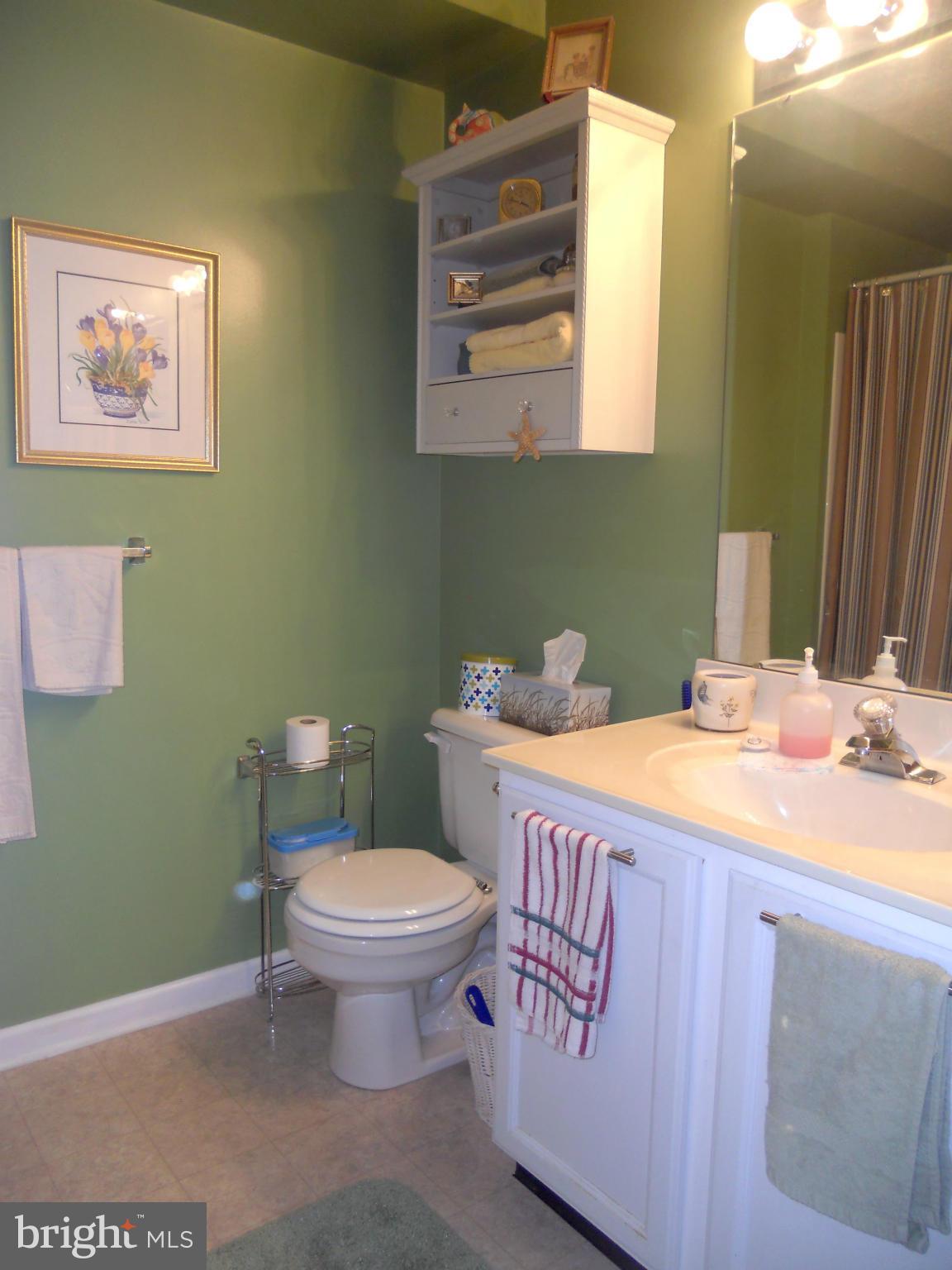 4527 Aspen Mill Road, Unit 4527 Baltimore, MD 21236 - Photo 13 of 22 Master Bath