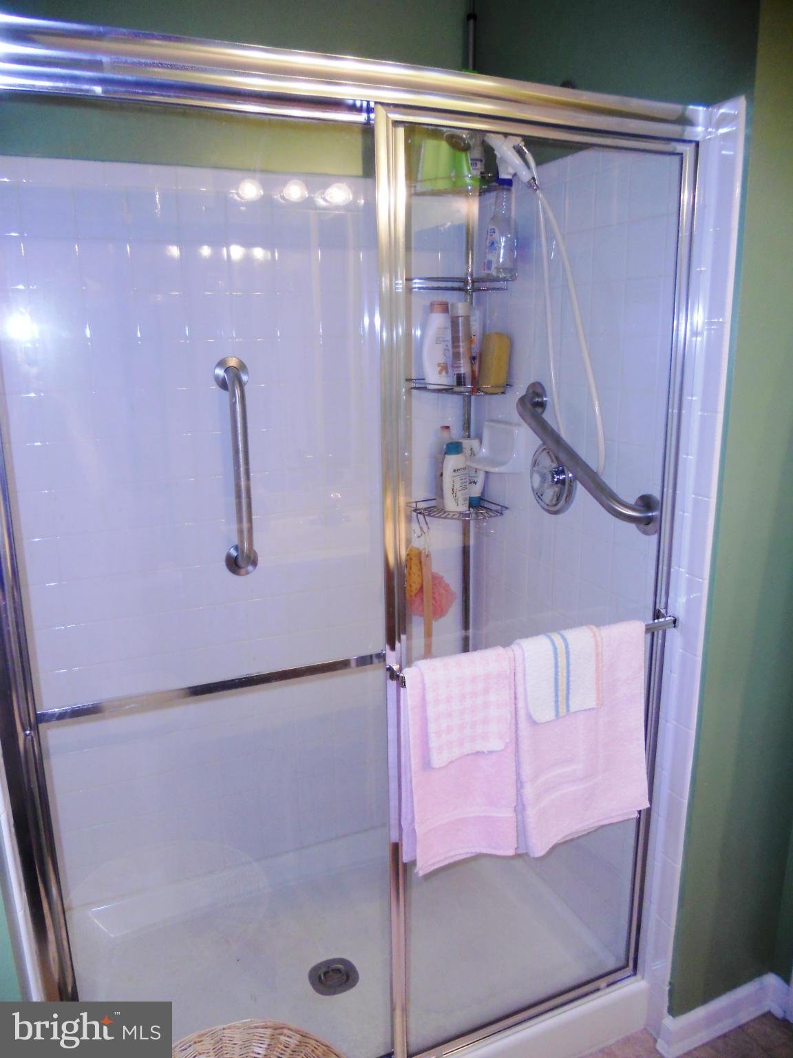 4527 Aspen Mill Road, Unit 4527 Baltimore, MD 21236 - Photo 17 of 22 Hall Bath Walk-in Shower