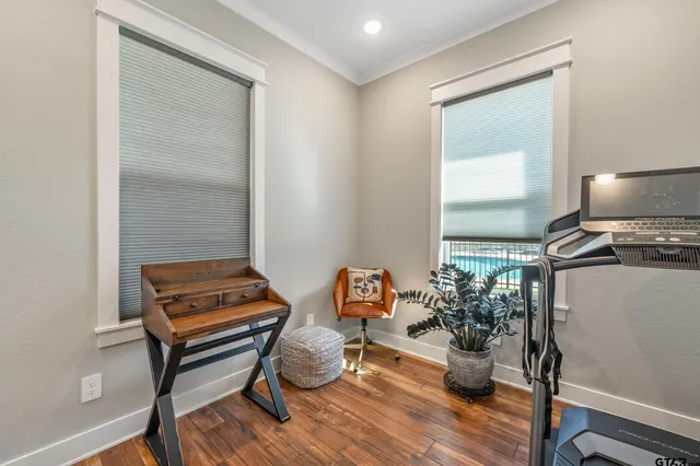 a room with furniture and a potted plant