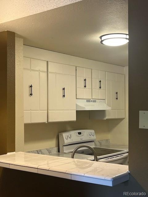 415 South Howes Street, Unit N304 Fort Collins, CO 80521 - Photo 10 of 21 a kitchen with a sink and cabinets