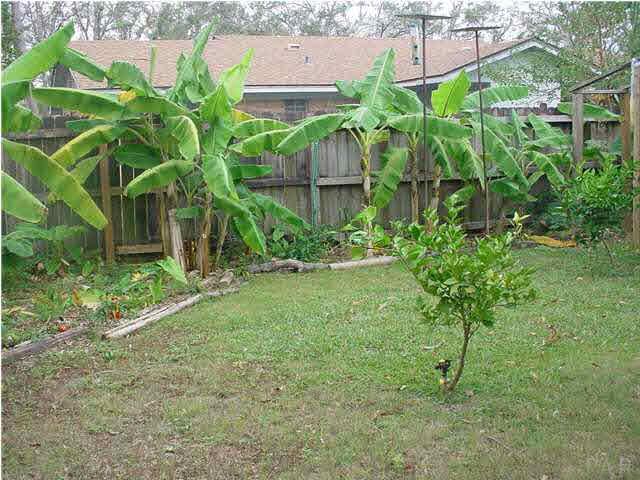 8137 Ernestine Road Pensacola, FL 32514 - Photo 3 of 4 BACKYARD