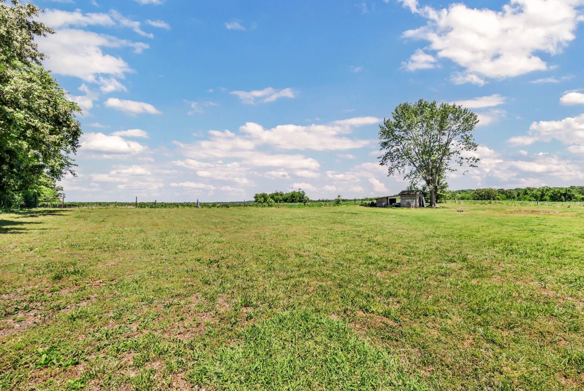 1068 Hugh Hunter Road Oak Grove, KY 42262 - Photo 23 of 30