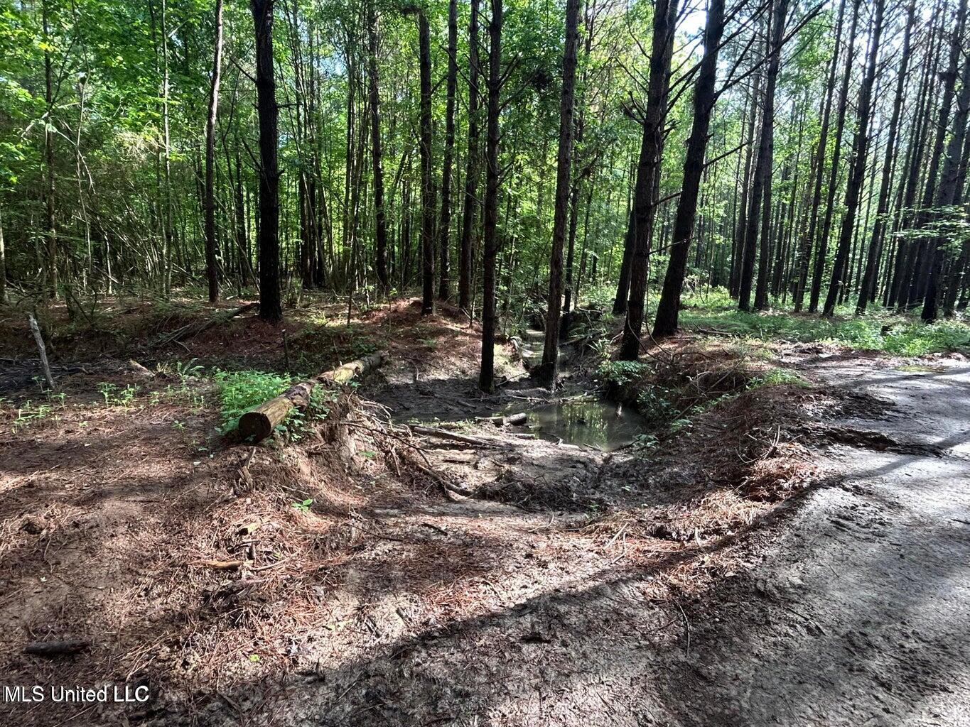 3330 County Road Ethel, MS 39067 - Photo 5 of 10 20250501185509267956000000-o