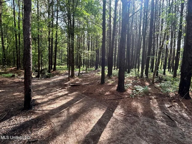 $89,000 | 3330 County Road, Ethel, MS 39067