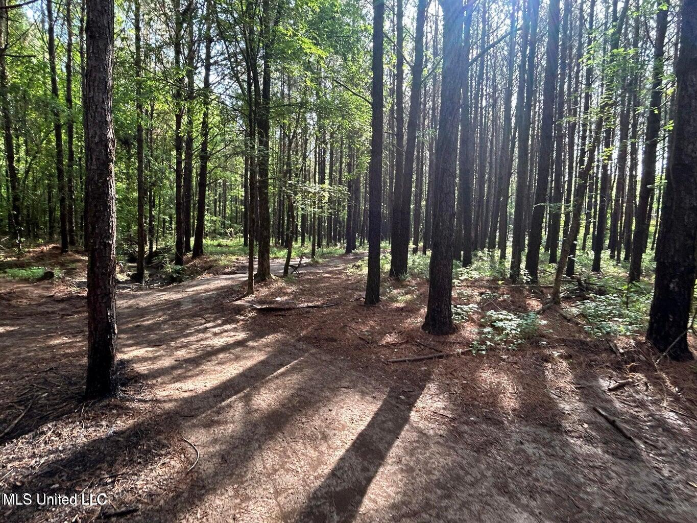 3330 County Road Ethel, MS 39067 - Photo 6 of 10 20250501185513559747000000-o