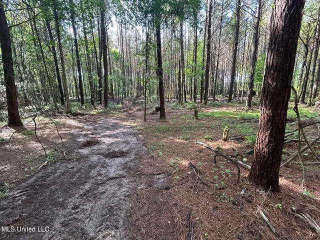 $89,000 | 3330 County Road, Ethel, MS 39067