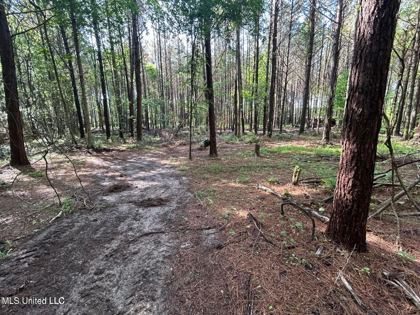 3330 County Road Ethel, MS 39067 - Photo 8 of 10 20250501185522052662000000-o