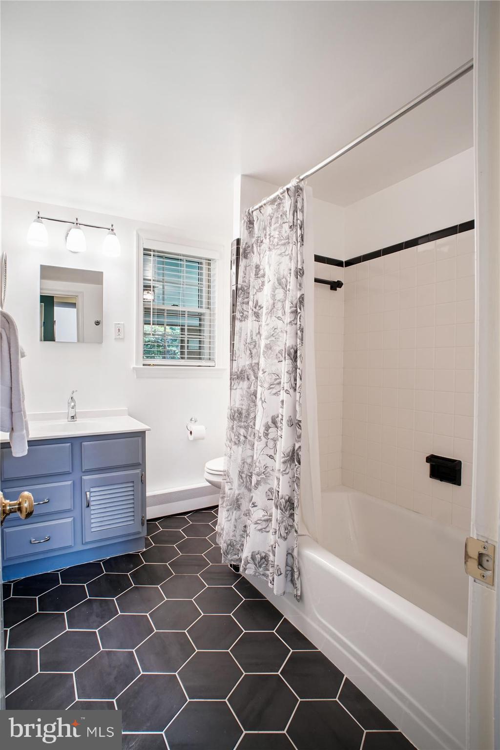 3818 North Ridgeview Road Arlington, VA 22207 - Photo 36 of 56 Full Bath lower level