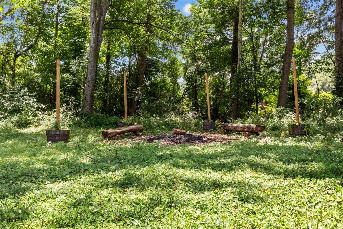 1227 Brushy Road Centerville, TN 37033 - Photo 38 of 60