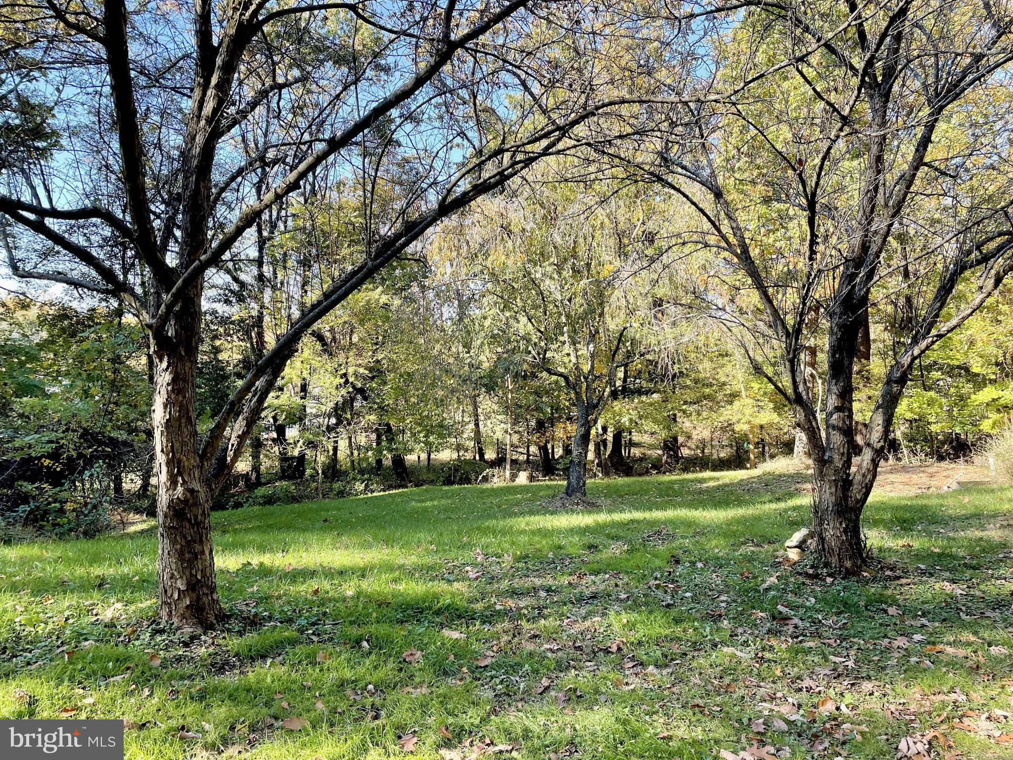919 Pine Grove Road Bluemont, VA 20135 - Photo 31 of 31 Backyard