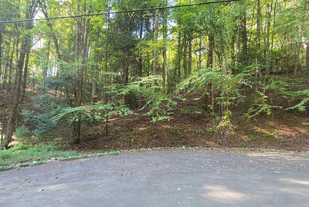0 Cataula Court Ellijay, GA 30540 - Photo 1 of 1 a view of a forest with trees