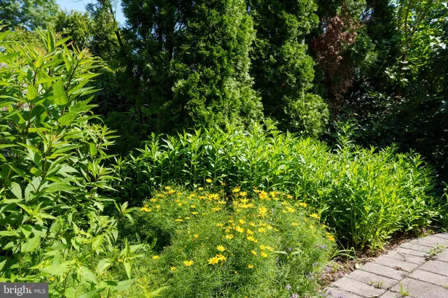 $1,800,000 | 44 Wiggins Street, Princeton, NJ 08540