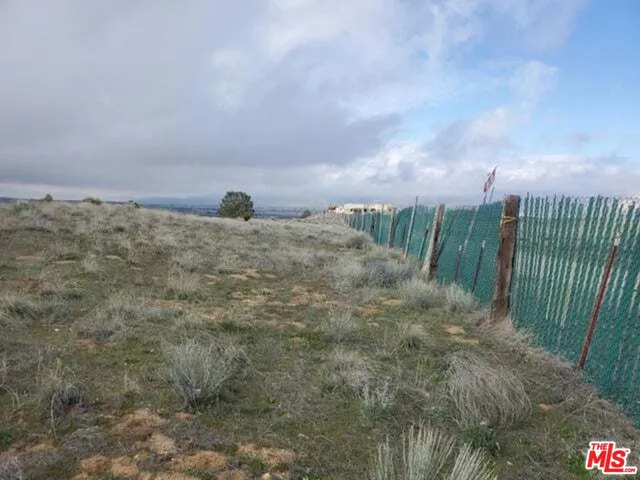 a view of a dry yard with wooden fence