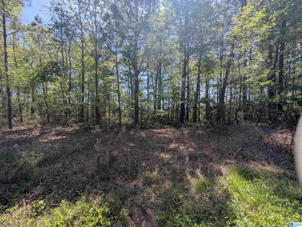 $10,000 | 0 Paradise Avenue, Unit 11, Gadsden, AL 35903