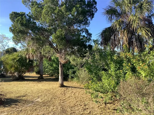 a view of outdoor space and yard