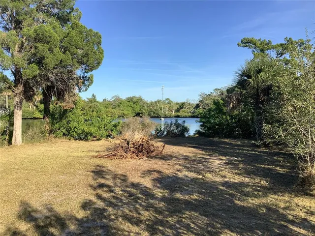a view of a yard with plants and trees