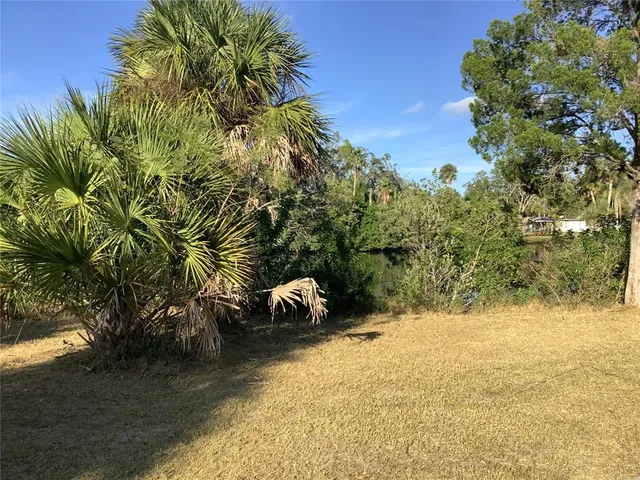 a view of a lake with a tree