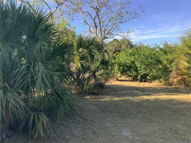 a view of road and yard