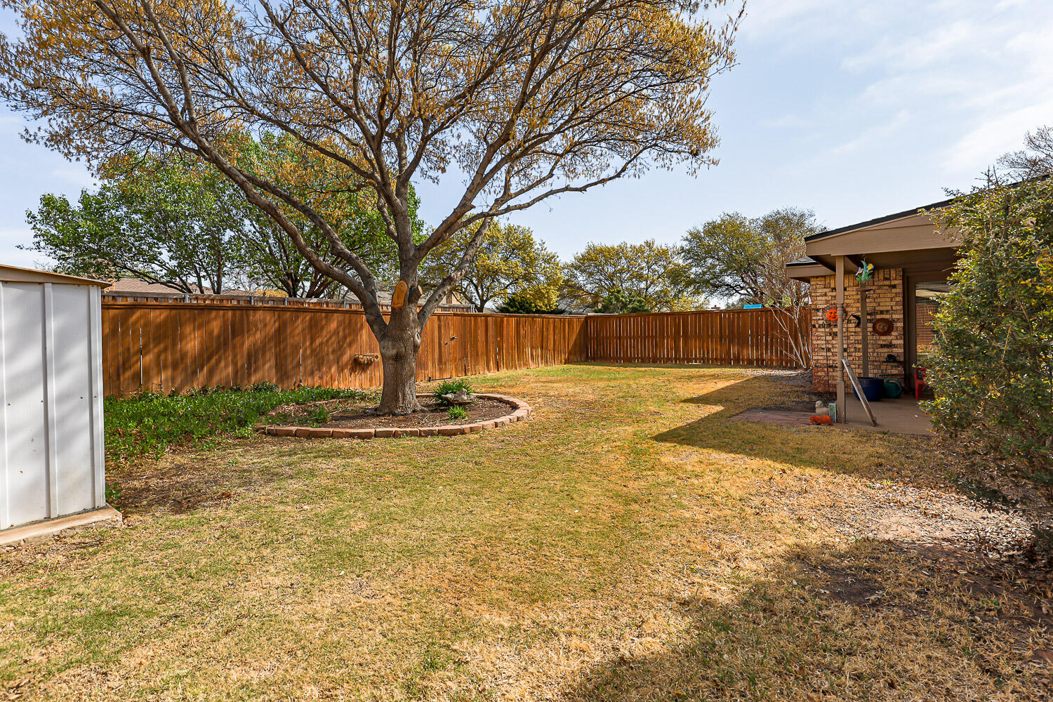 5728 92nd Street Lubbock, TX 79424 - Photo 37 of 40 a view of a backyard with large trees