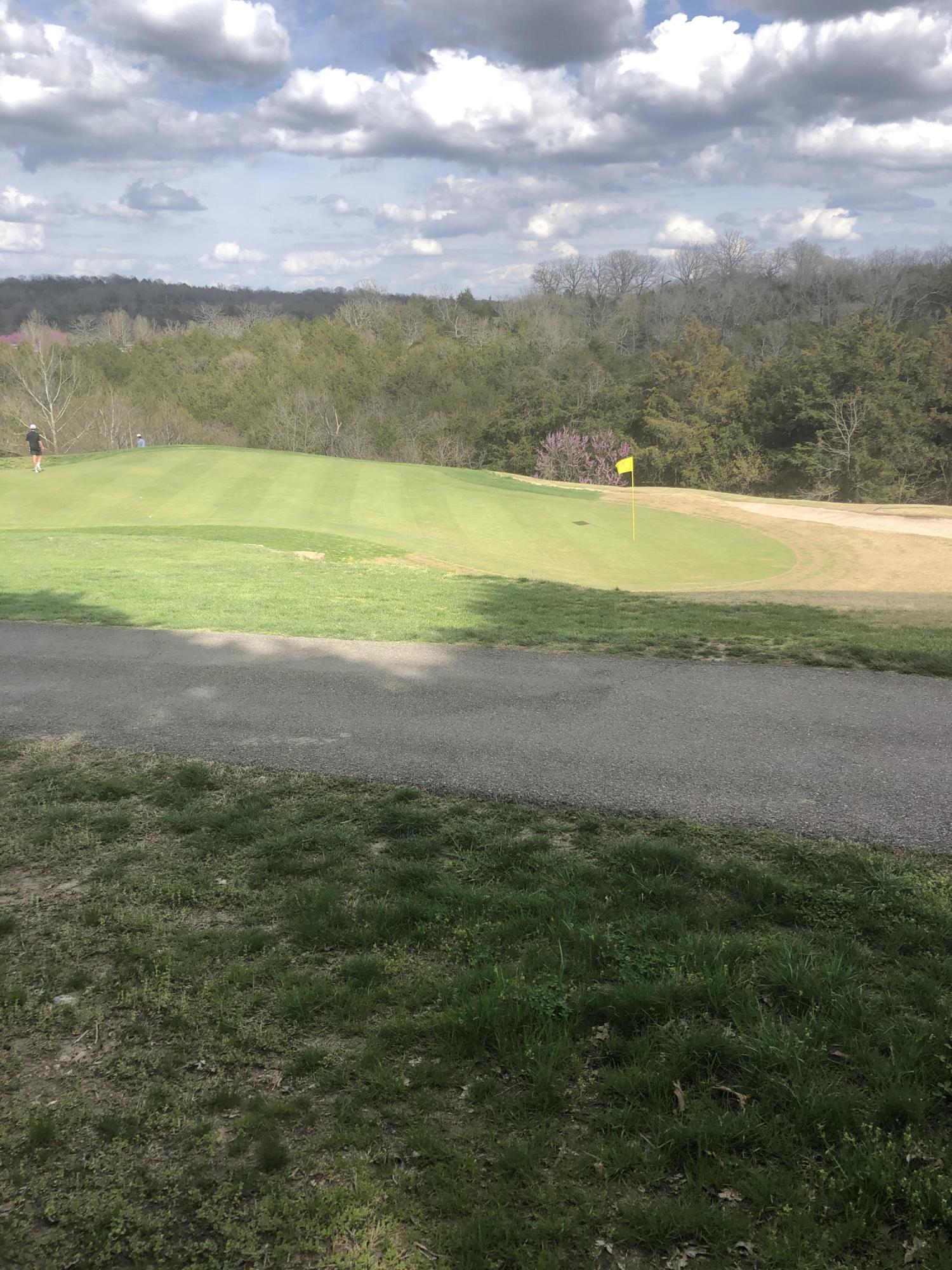 0 Silvercliff Way Reeds Spring, MO 65737 - Photo 1 of 1 0B2DB209-8190-4A13-8B5B-8C485C9EB04E
