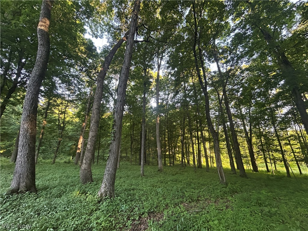 12929 Pleasant Valley Road Northeast Utica, OH 43080 - Photo 45 of 47