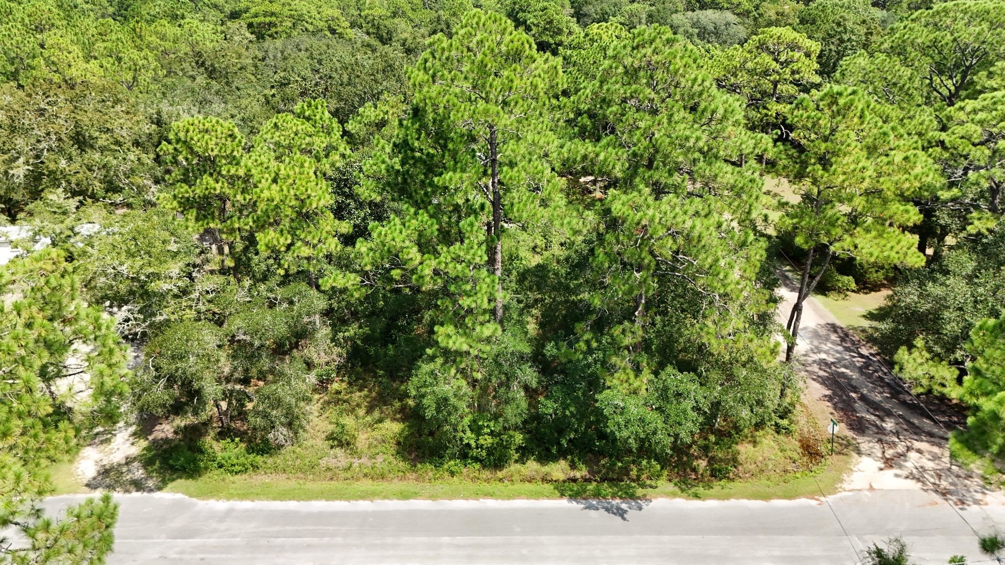 Xx Dickson Bay Road Panacea, FL 32346 - Photo 5 of 6 Gallery Image 5
