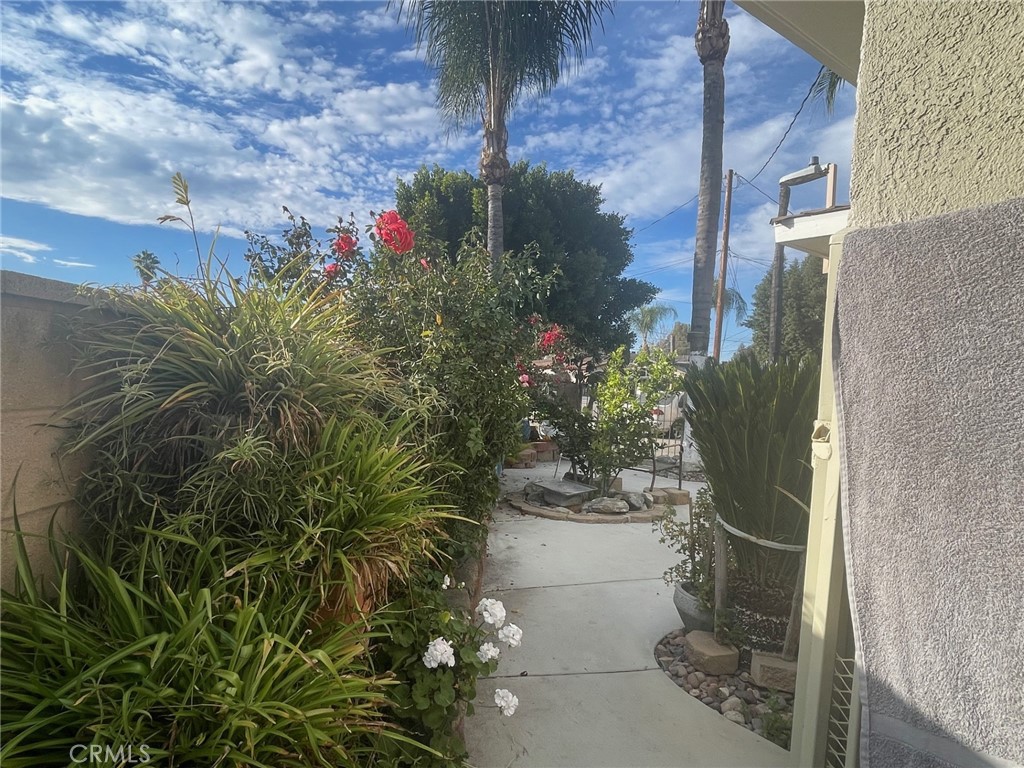 26326 Investors Hemet, CA 92544 - Photo 39 of 46 a picture of flowers