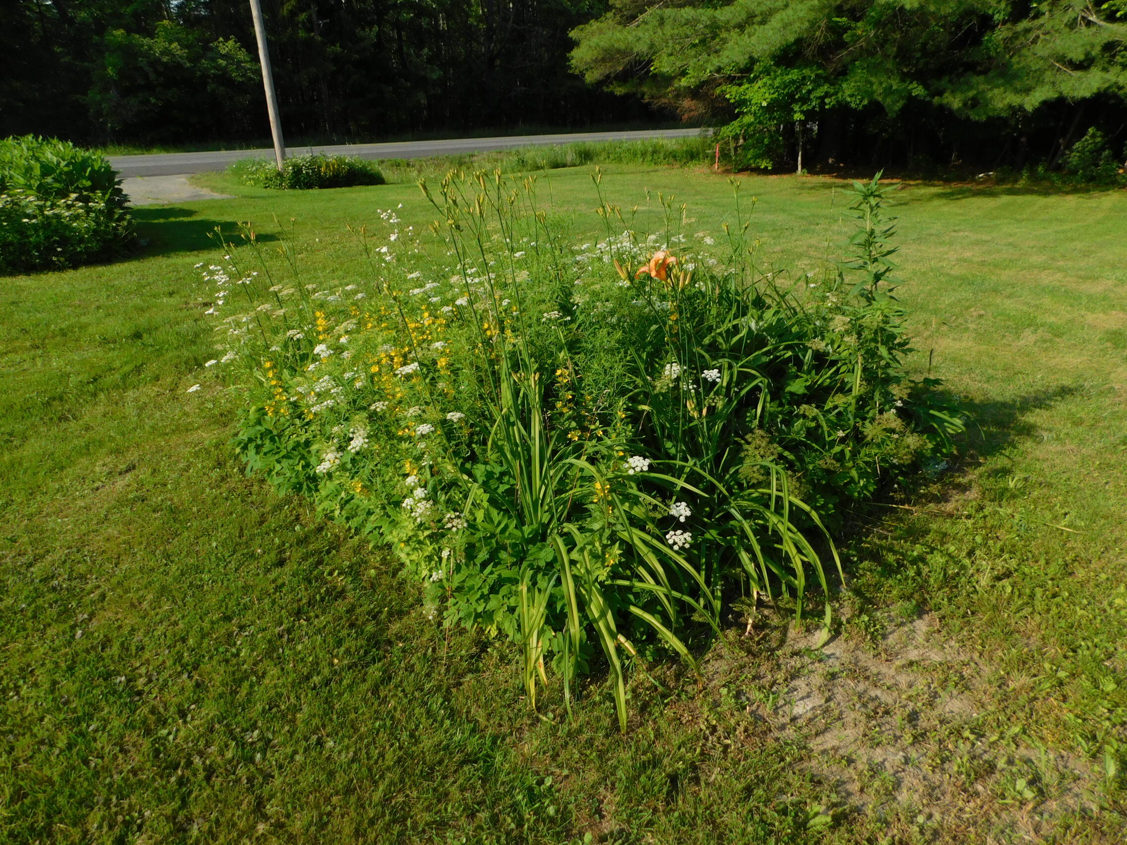 411 White School House Road Madison, ME 04950 - Photo 12 of 40 DSCN3239