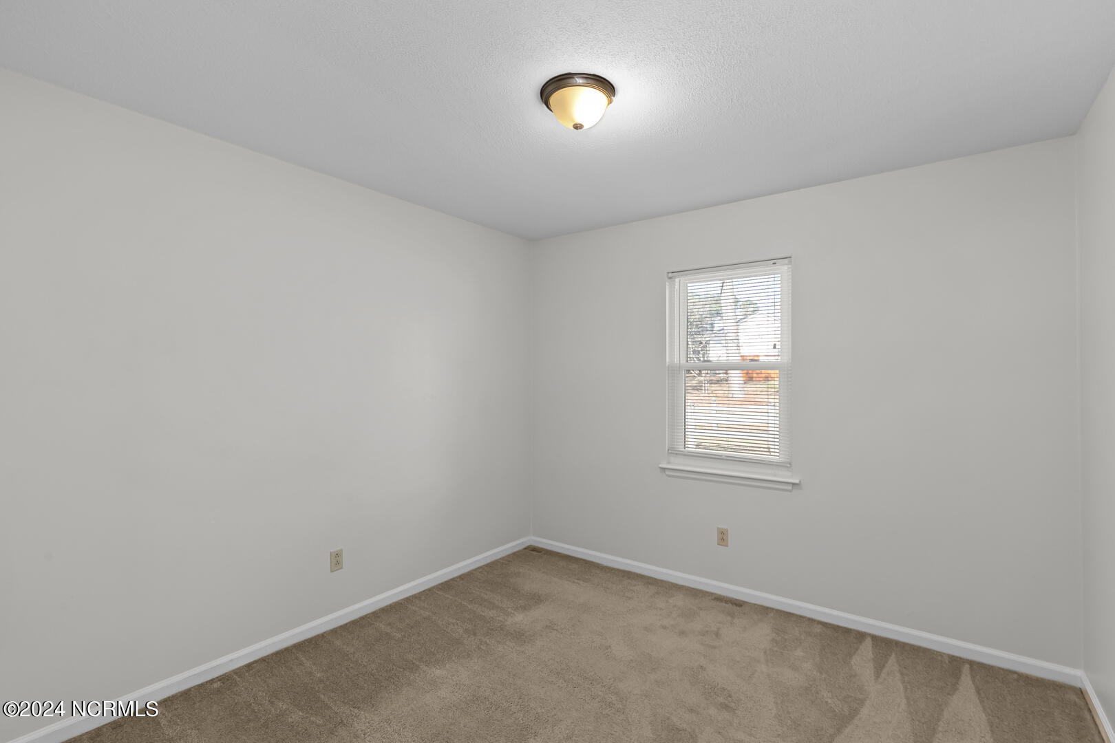 539 Shadowridge Road Jacksonville, NC 28546 - Photo 23 of 45 23