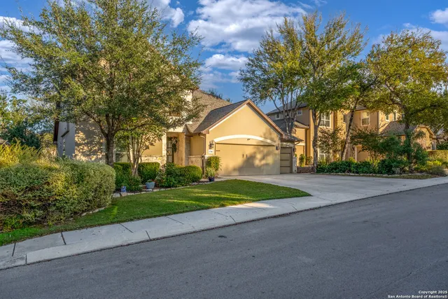 a view of backyard of green space