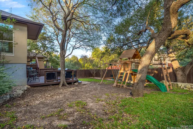 a view of a backyard with plants and a large tree