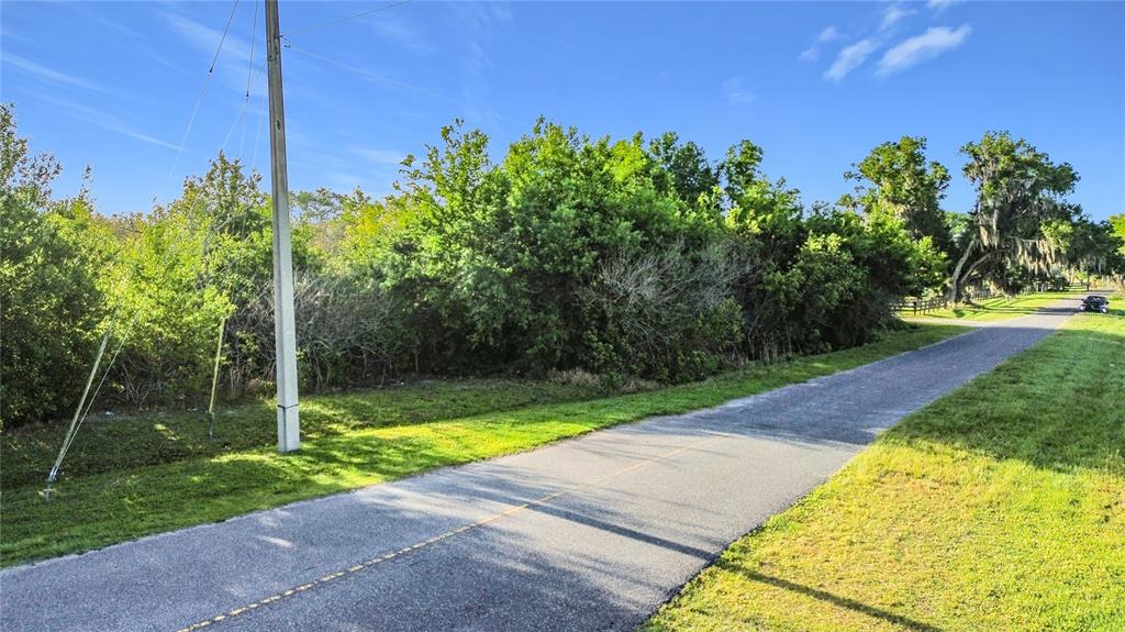 0 Old Hickory Tree Road St. Cloud, FL 34772 - Photo 10 of 16