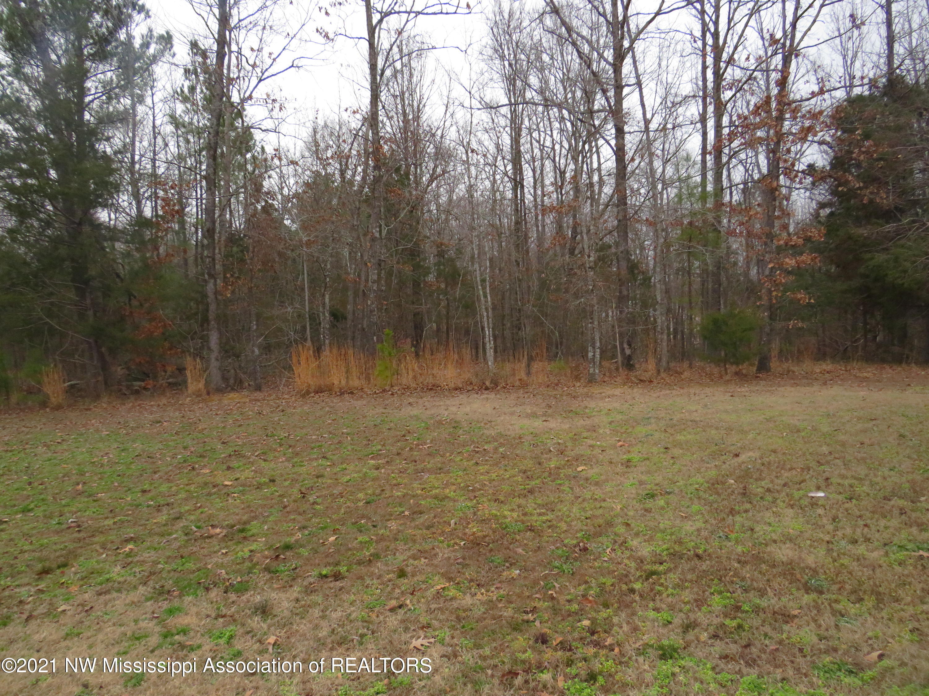 7614 Robertson Gin Road Hernando, MS 38632 - Photo 4 of 39 IMG_0165