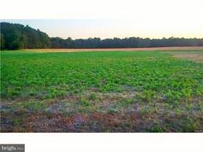 Lot 4 Atlanta Road Bridgeville, DE 19933 - Photo 1 of 1 Gallery Image 1