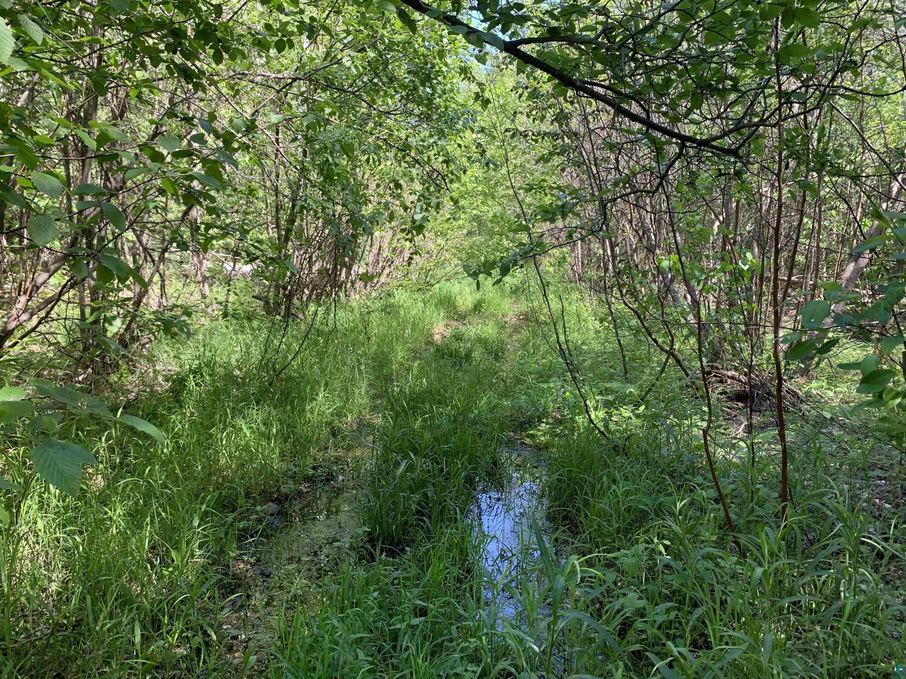 Xxx Reason Road Hovland, MN 55606 - Photo 2 of 9 Gallery Image 2