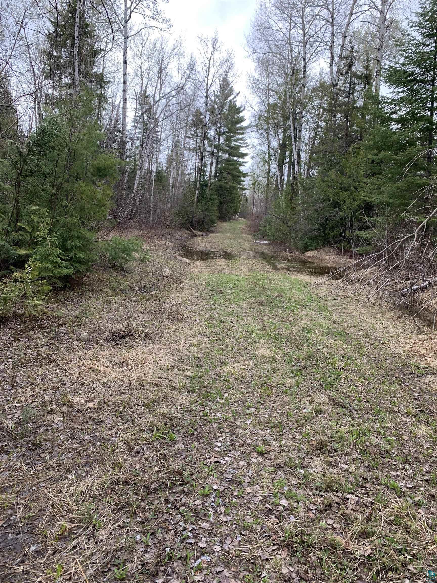 Xxx Reason Road Hovland, MN 55606 - Photo 8 of 9 Reason Road--park here and walk to the easement to property.
