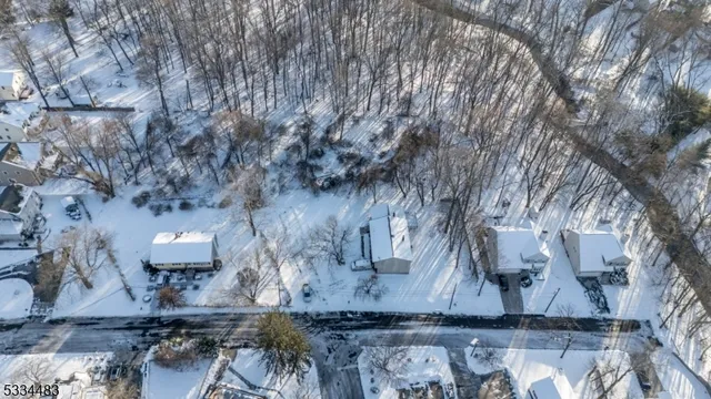 a view of dirt yard with a large tree