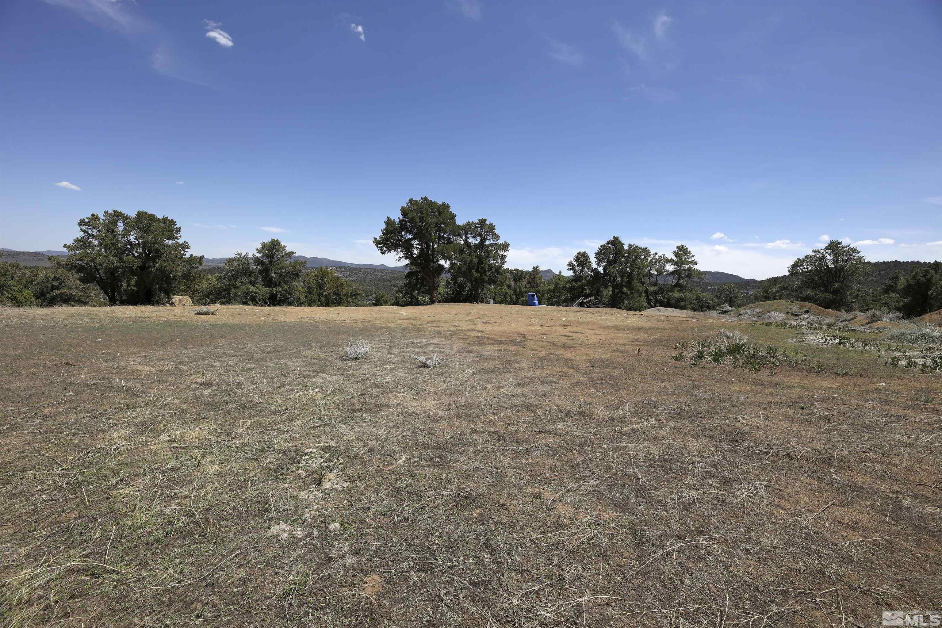 1750 Harte Road Reno, NV 89521 - Photo 4 of 20 Photo 4