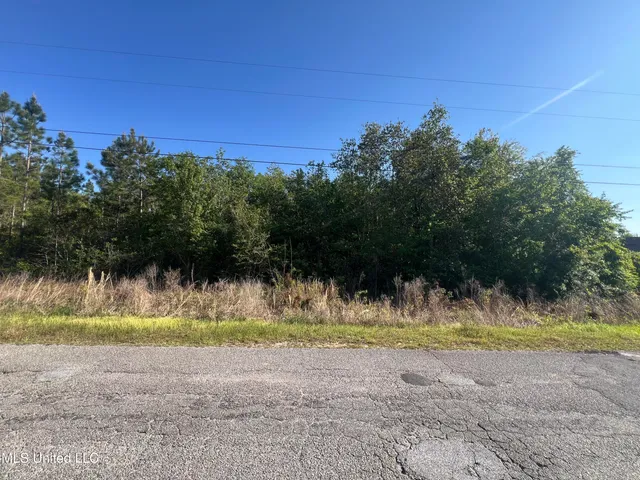 $16,000 | 19719 Brighton Drive, Saucier, MS 39574