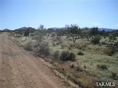15502 West Pyle Road Tucson, AZ 85736 - Photo 2 of 7 Gallery Image 2