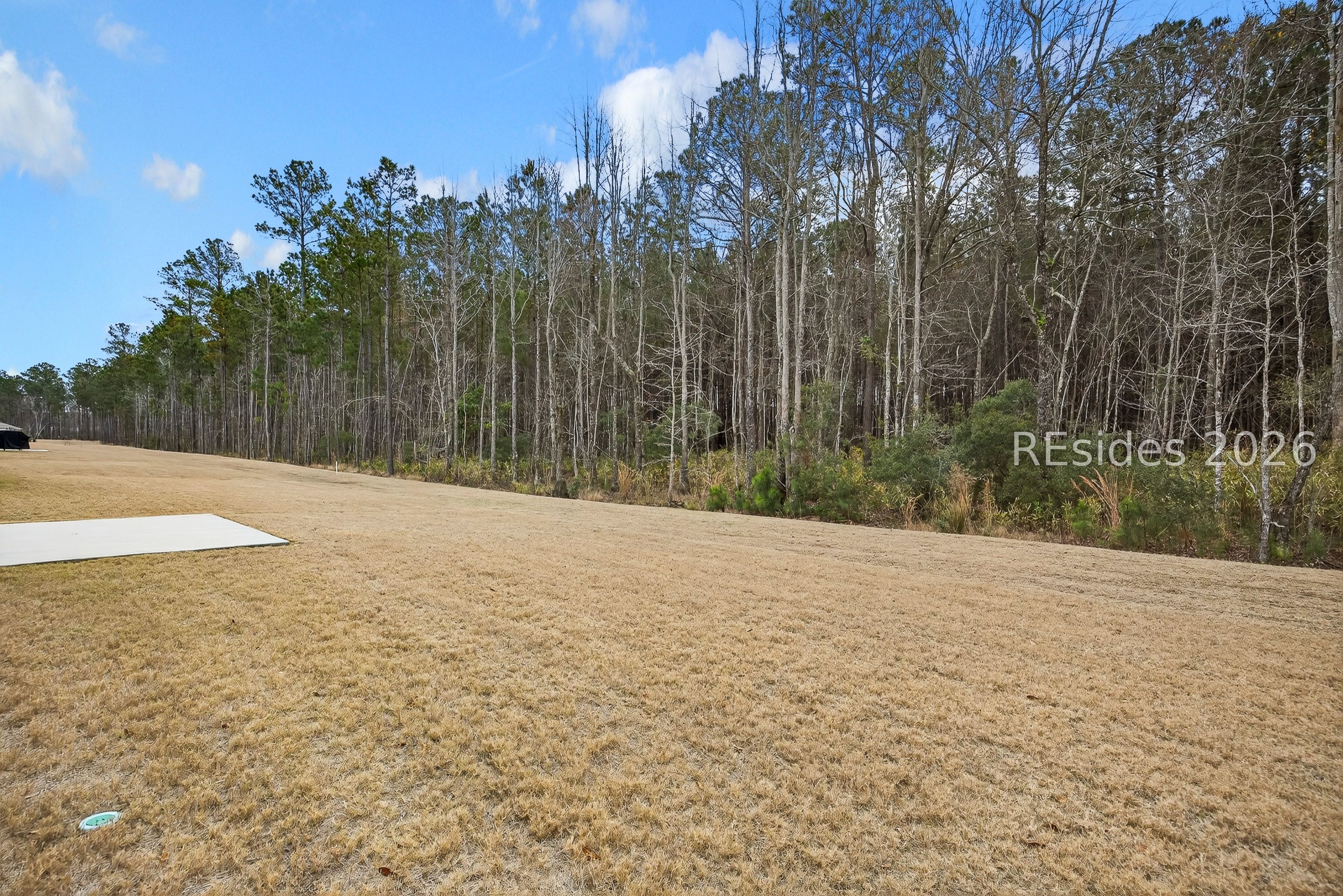 539 Sunfish Way Bluffton, SC 29909 - Photo 53 of 70 Back Yard - backs up to woods