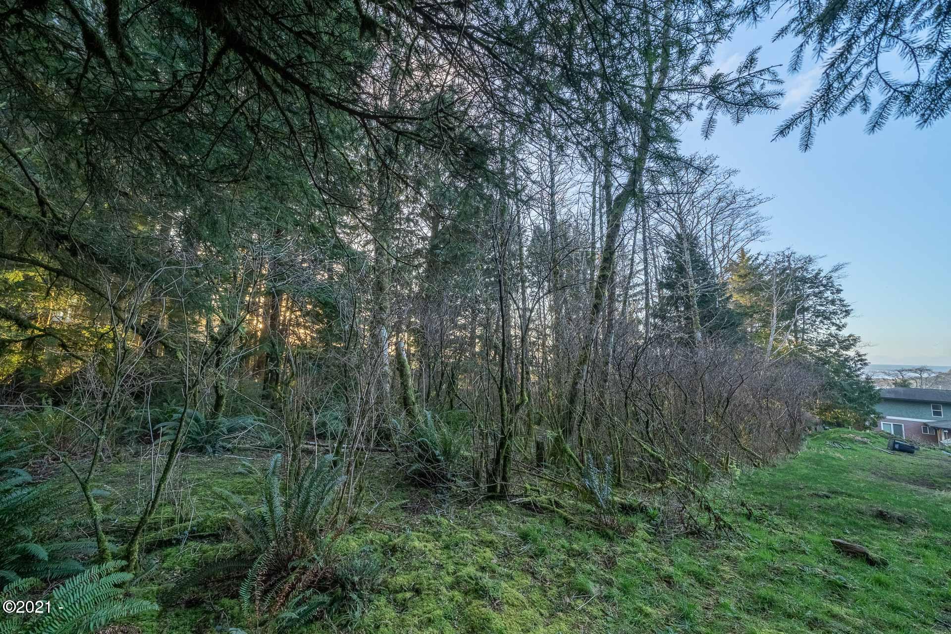 158 Highway 101 Yachats, OR 97498 - Photo 11 of 21 _DSC4684-HDR