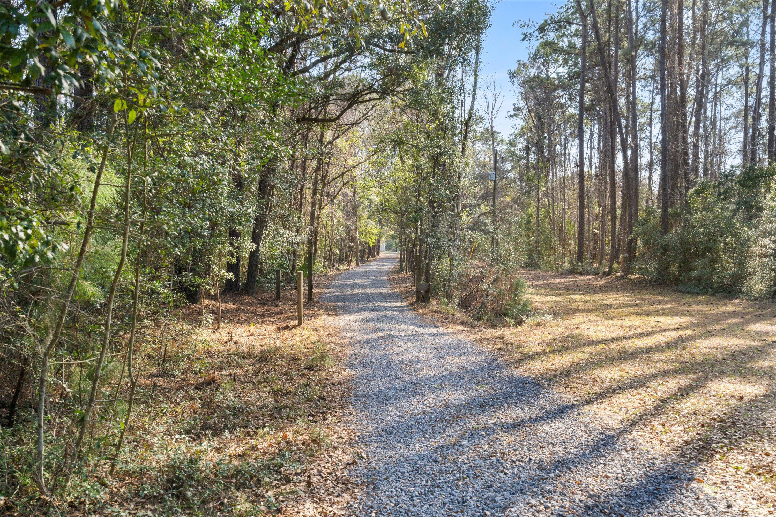 8255 Chisolm Plantation Road Edisto Island, SC 29438 - Photo 4 of 49 37-DSC07061