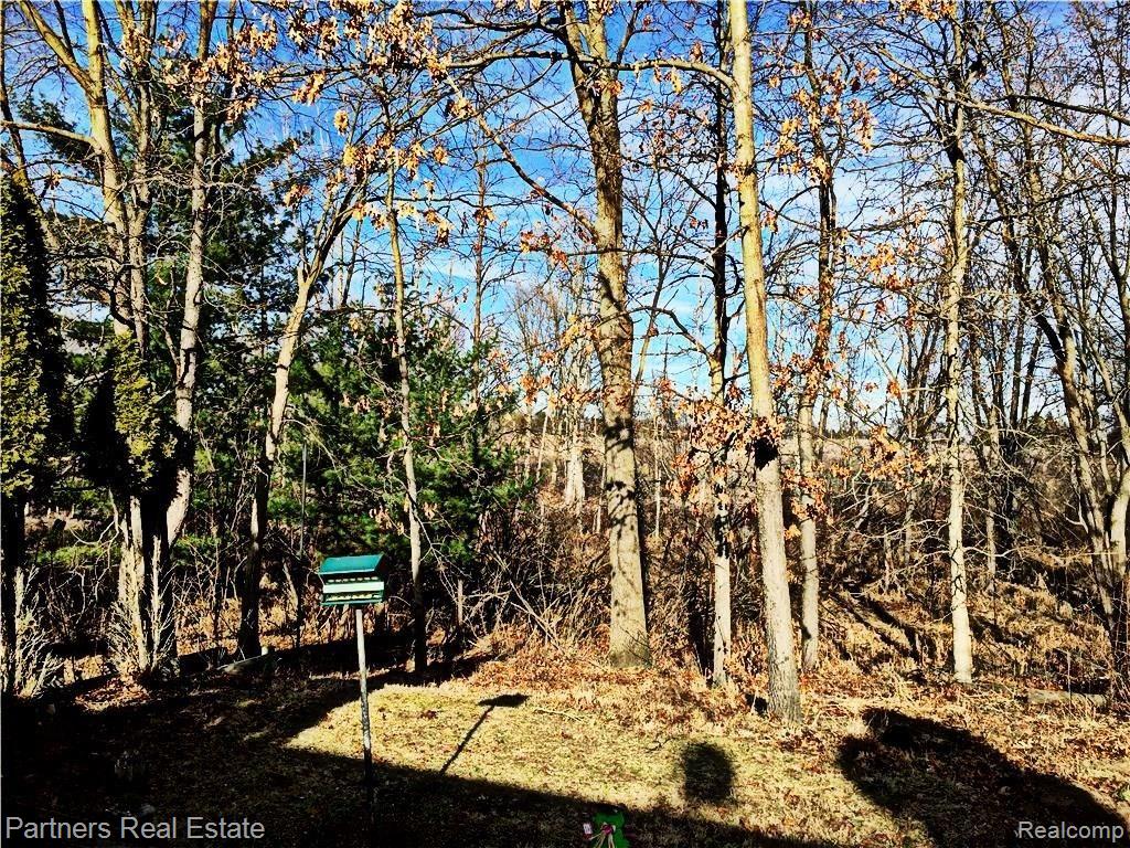 8238 Zeeb Road Dexter, MI 48130 - Photo 8 of 35 8238 Zeeb Rd Acreage 5.jpg