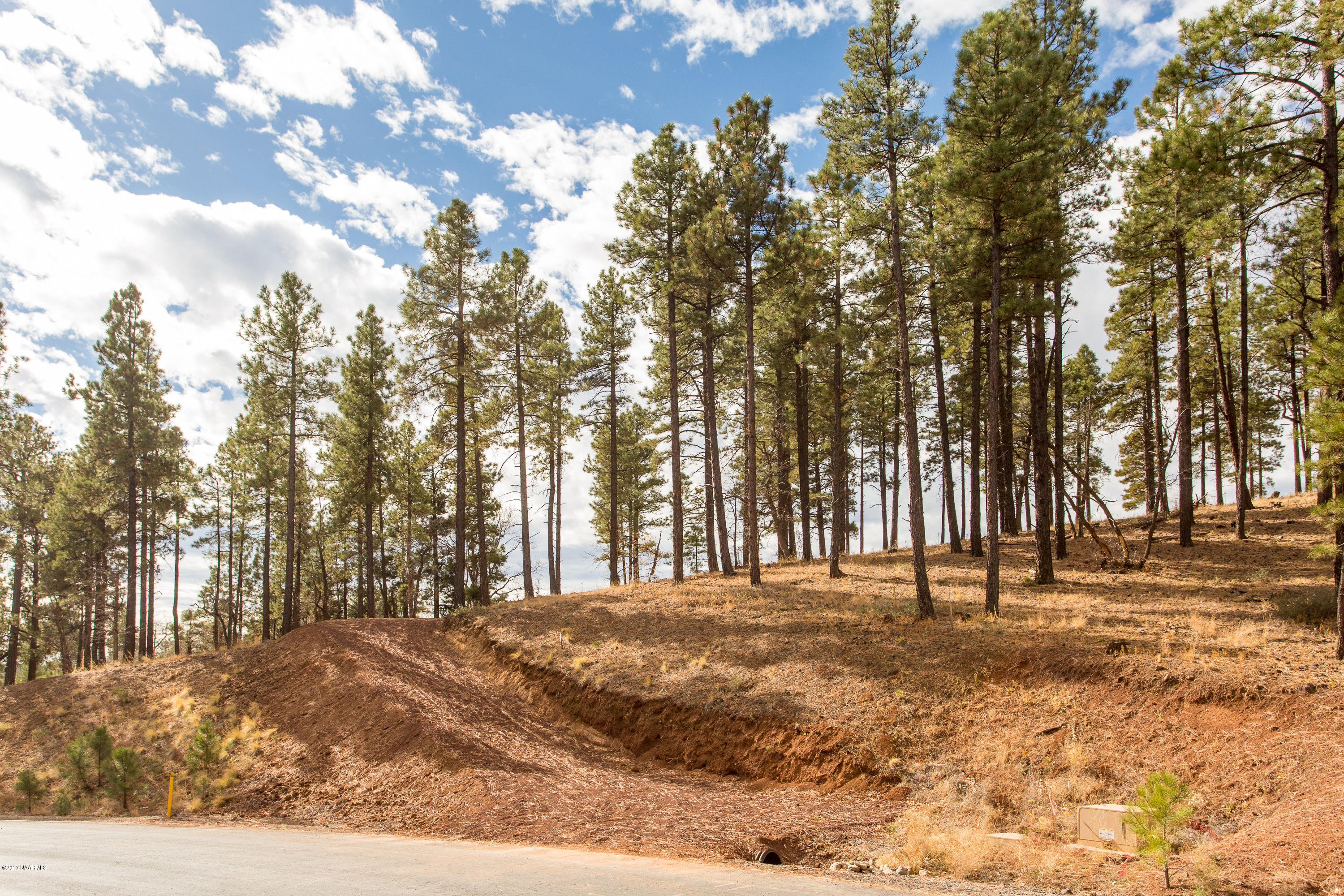 4705 South Flagstaff Ranch Road Flagstaff, AZ 86005 - Photo 1 of 19 A19B0528-14
