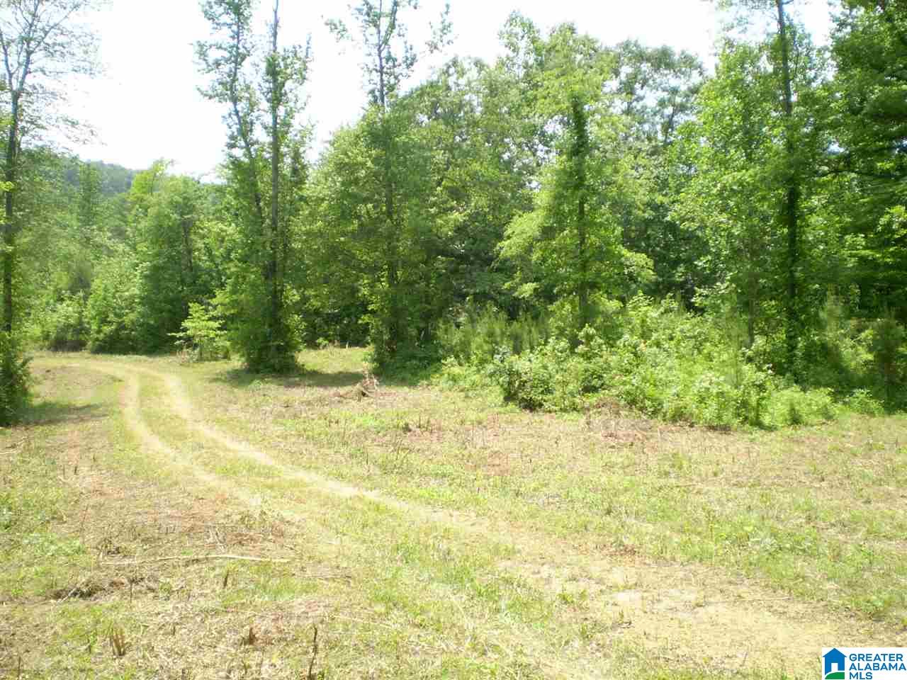 298 Waldrop Road, Unit TR 12 Ashville, AL 35953 - Photo 4 of 29
