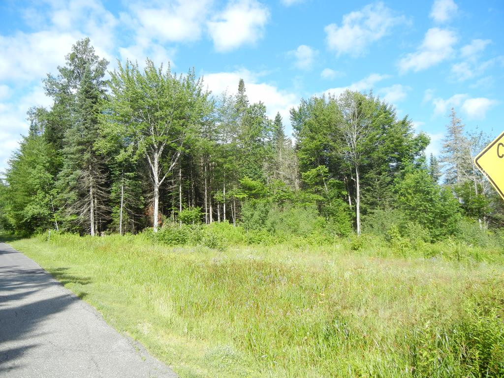 0 Soucy Road Saranac, NY 12981 - Photo 1 of 6 Gallery Image 1