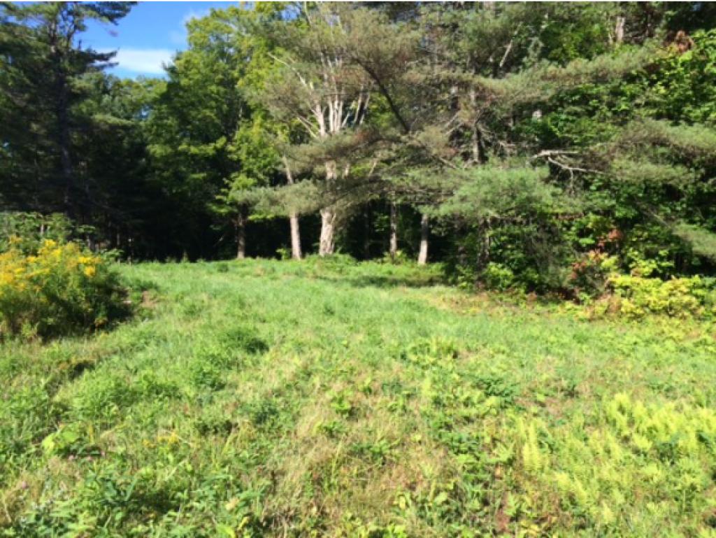 1266 Stickney Brook Road Dummerston, VT 05301 - Photo 2 of 3