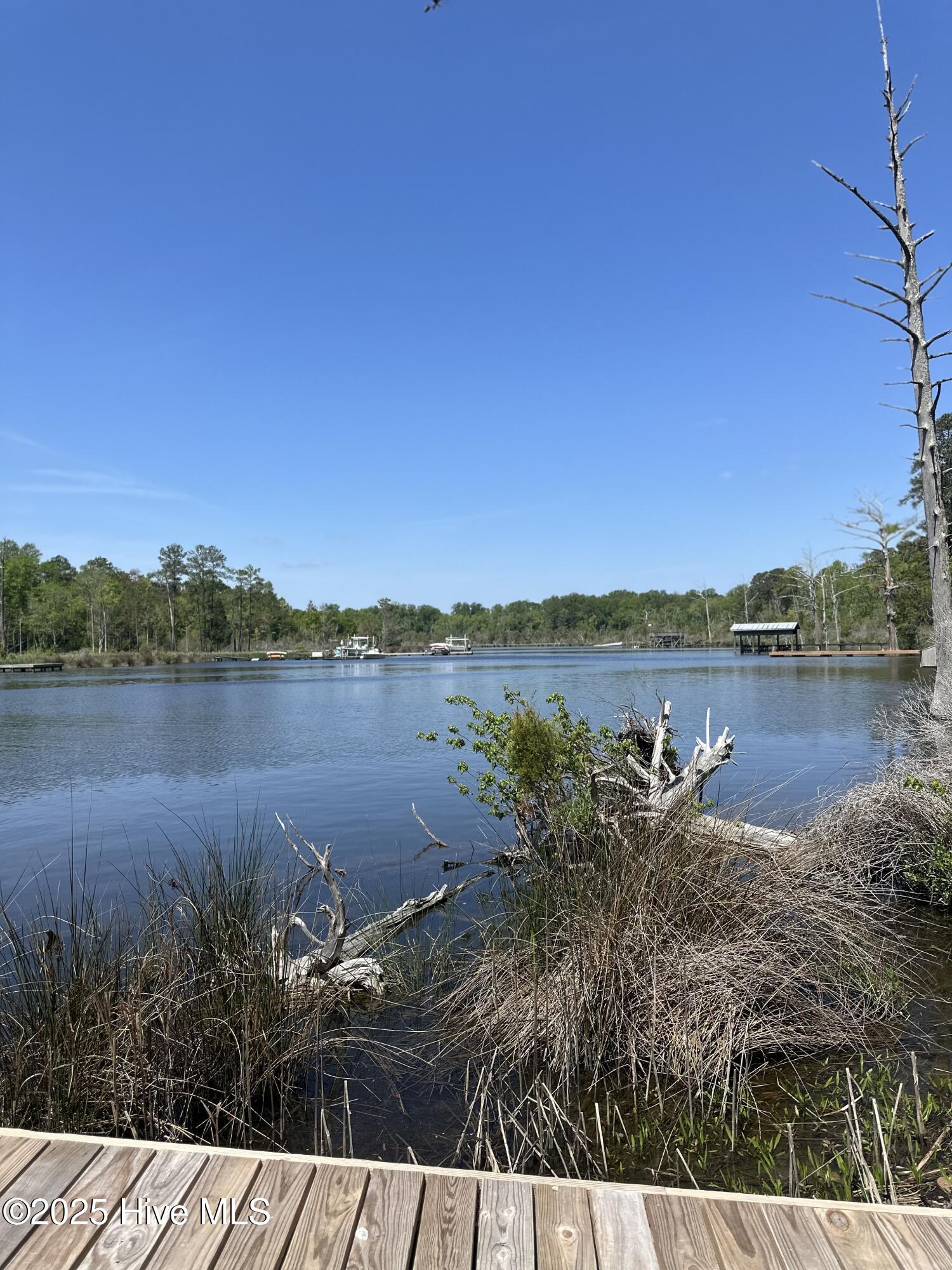 801 Sawmill Landing Road Bath, NC 27808 - Photo 13 of 14 IMG_3186