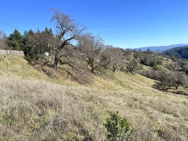 a view of a dry yard with mountains in the background